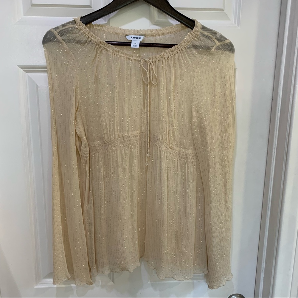 Express sheer gold top